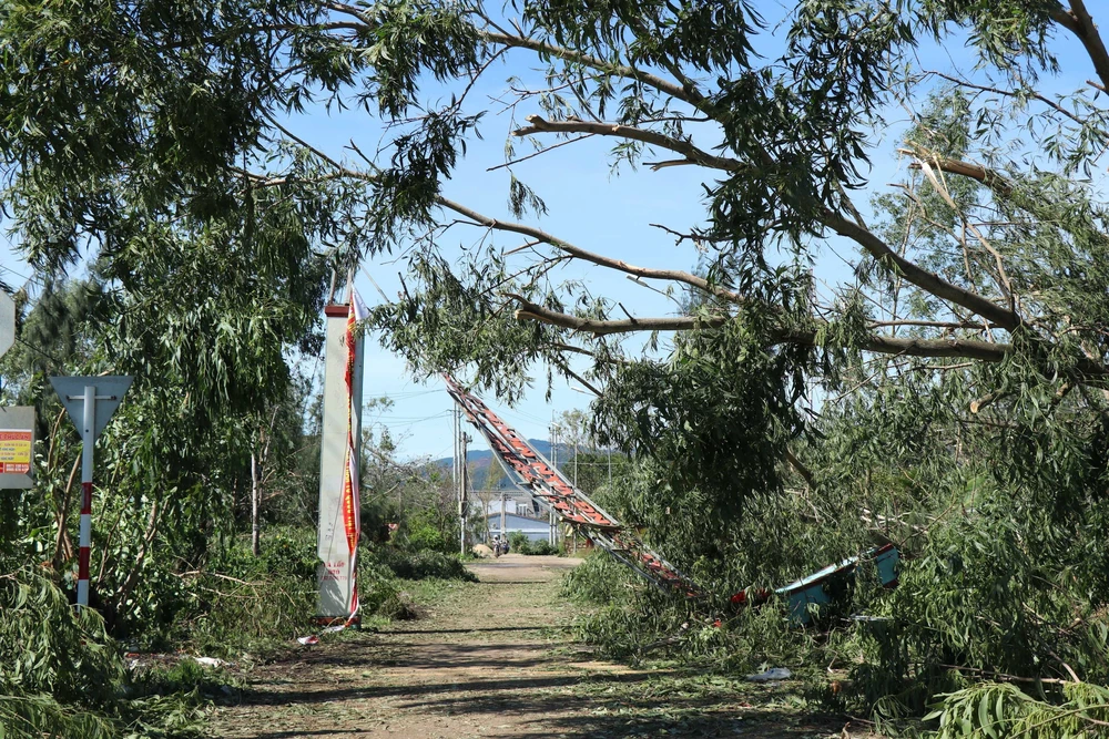 Đắk Lắk: Khẩn trương khắc phục thiệt hại do bão số 13 gây ra - Ảnh 12. Đắk Lắk: Khẩn trương khắc phục thiệt hại do bão số 13 gây ra - Ảnh 12.