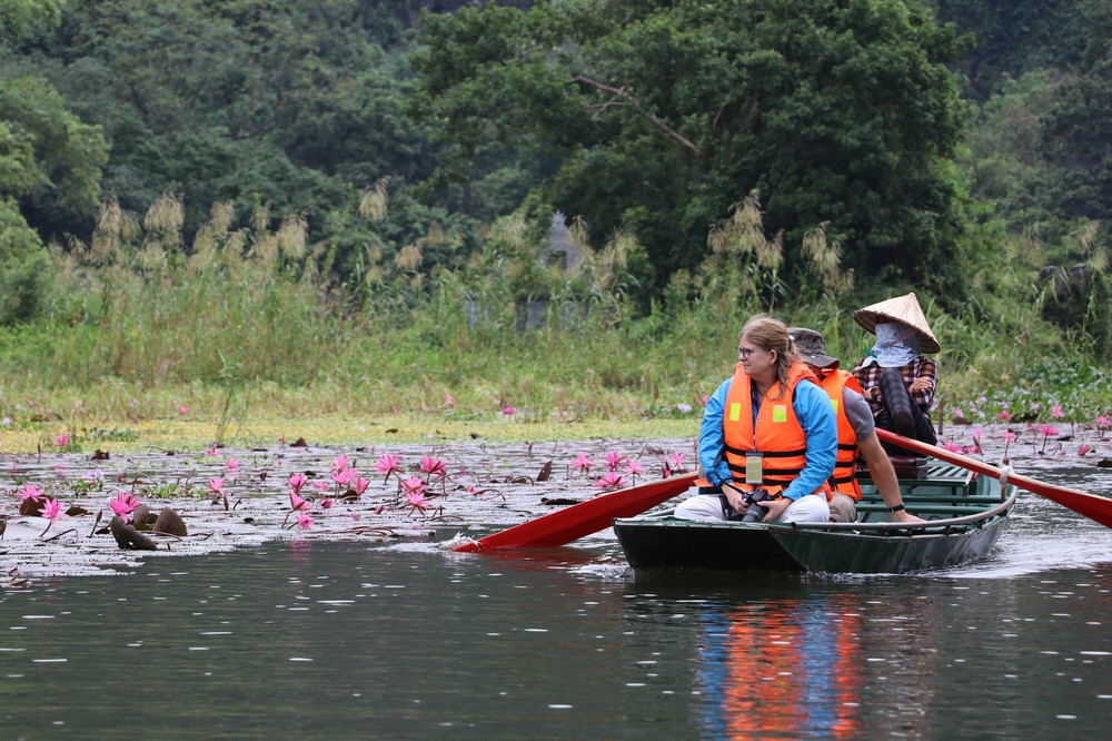 Mùa hoa súng nơi miền di sản - Ảnh 2. Mùa hoa súng nơi miền di sản - Ảnh 2.