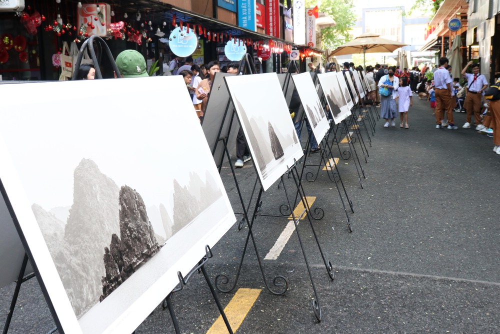 Nhiếp ảnh gia Thịnh Lê mang “đá lạ” của Hạ Long vào TP.HCM - Ảnh 5. Nhiếp ảnh gia Thịnh Lê mang “đá lạ” của Hạ Long vào TP.HCM - Ảnh 5.
