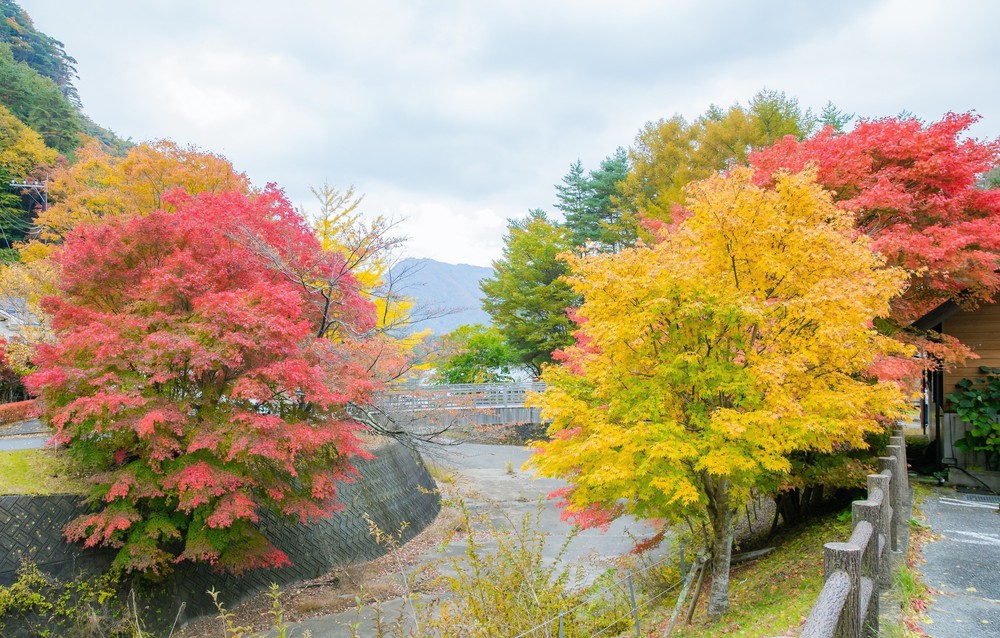 Vẻ đẹp ngỡ ngàng của núi Phú Sĩ mùa Thu - Ảnh 10. Vẻ đẹp ngỡ ngàng của núi Phú Sĩ mùa Thu - Ảnh 10.