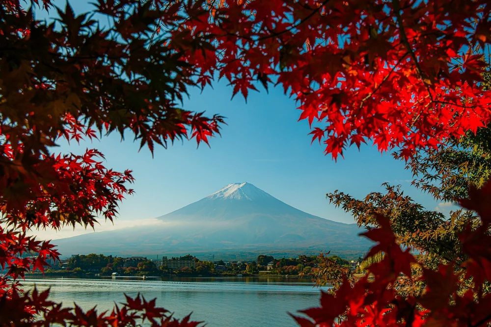 Vẻ đẹp ngỡ ngàng của núi Phú Sĩ mùa Thu - Ảnh 3. Vẻ đẹp ngỡ ngàng của núi Phú Sĩ mùa Thu - Ảnh 3.