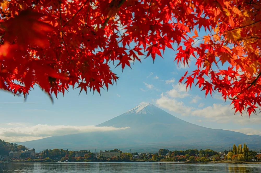 Vẻ đẹp ngỡ ngàng của núi Phú Sĩ mùa Thu - Ảnh 1. Vẻ đẹp ngỡ ngàng của núi Phú Sĩ mùa Thu - Ảnh 1.