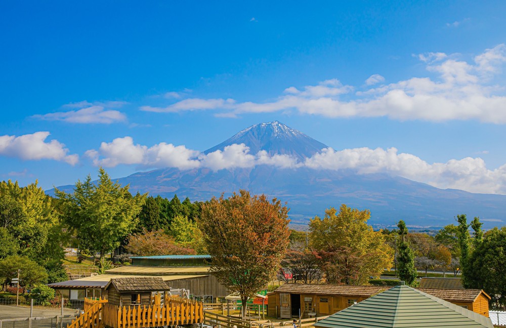 Vẻ đẹp ngỡ ngàng của núi Phú Sĩ mùa Thu - Ảnh 8. Vẻ đẹp ngỡ ngàng của núi Phú Sĩ mùa Thu - Ảnh 8.