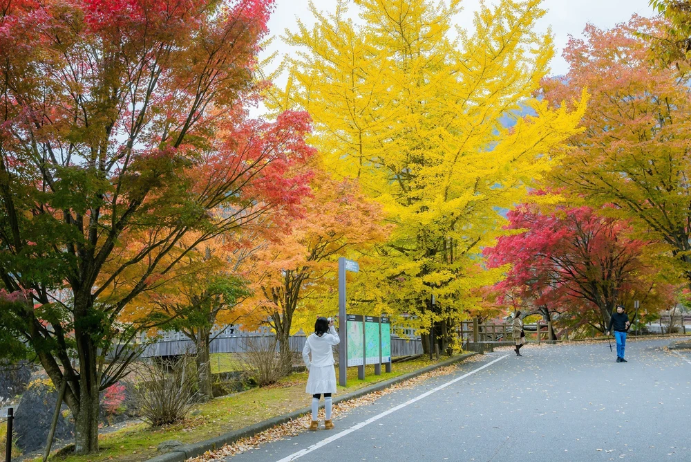Vẻ đẹp ngỡ ngàng của núi Phú Sĩ mùa Thu - Ảnh 9. Vẻ đẹp ngỡ ngàng của núi Phú Sĩ mùa Thu - Ảnh 9.