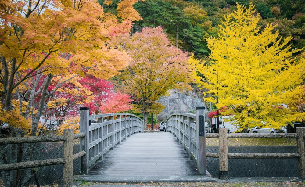 Vẻ đẹp ngỡ ngàng của núi Phú Sĩ mùa Thu - Ảnh 11. Vẻ đẹp ngỡ ngàng của núi Phú Sĩ mùa Thu - Ảnh 11.