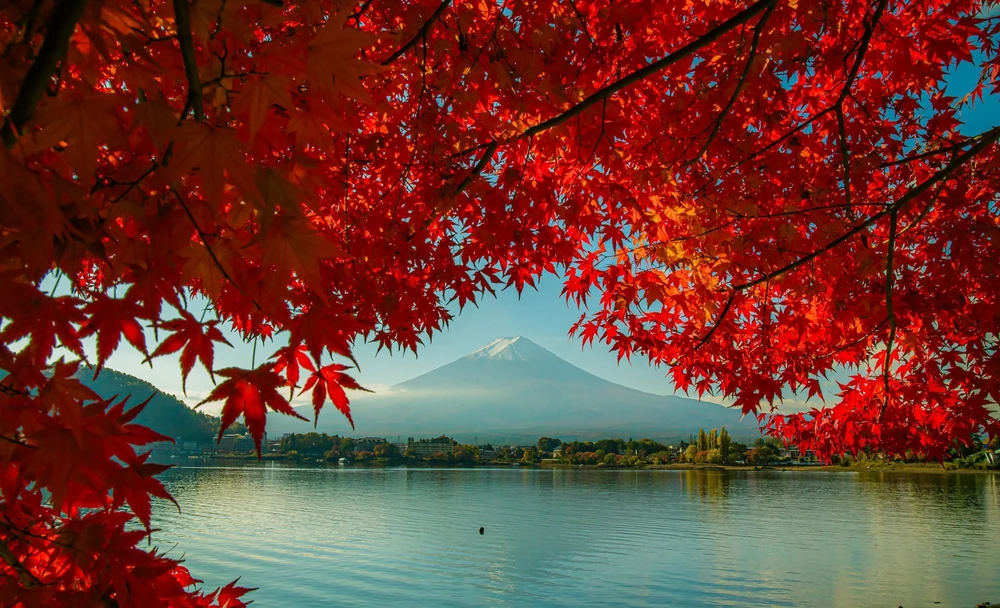 Vẻ đẹp ngỡ ngàng của núi Phú Sĩ mùa Thu - Ảnh 4. Vẻ đẹp ngỡ ngàng của núi Phú Sĩ mùa Thu - Ảnh 4.