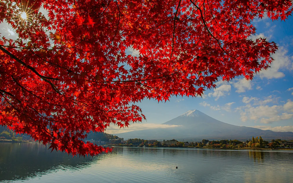 Vẻ đẹp ngỡ ngàng của núi Phú Sĩ mùa Thu - Ảnh 5. Vẻ đẹp ngỡ ngàng của núi Phú Sĩ mùa Thu - Ảnh 5.