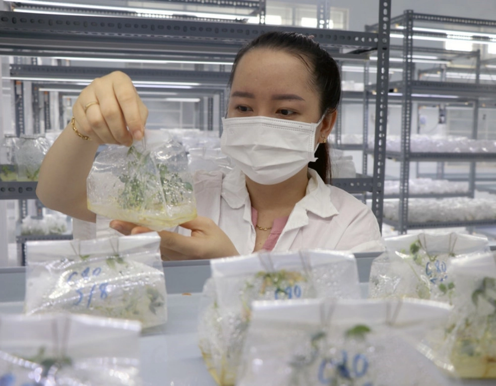 Hà Nội bứt phá dẫn đầu về doanh nghiệp khoa học và công nghệ - Ảnh 2.