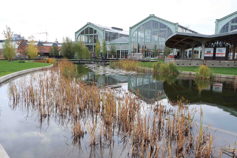 Giải pháp chủ động chống ngập lụt tại Bỉ - Ảnh 2.