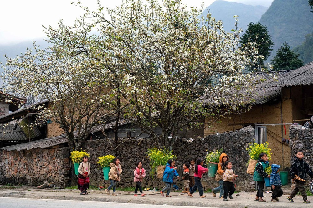 423.000 tỷ đồng cho Chương trình mục tiêu giảm nghèo vùng đồng bào dân tộc thiểu số - Ảnh 2. 423.000 tỷ đồng cho Chương trình mục tiêu giảm nghèo vùng đồng bào dân tộc thiểu số - Ảnh 2.