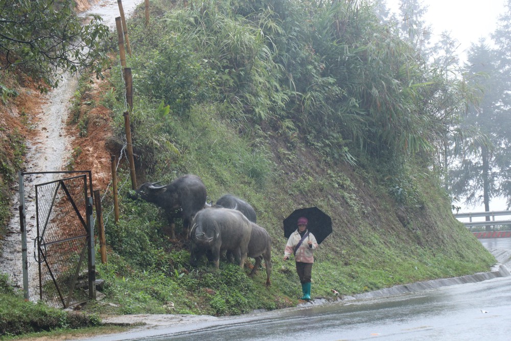 Cảnh báo từ đêm 13 đến 14/12, Sơn La trời rét đậm, rét hai, có khả năng xảy ra băng giá - Ảnh 1.