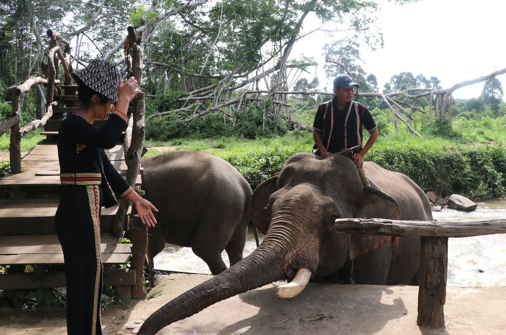 Buôn làng Đắk Lắk làm du lịch cộng đồng, đồng bào thiểu số thêm thu nhập - Ảnh 2. Buôn làng Đắk Lắk làm du lịch cộng đồng, đồng bào thiểu số thêm thu nhập - Ảnh 2.