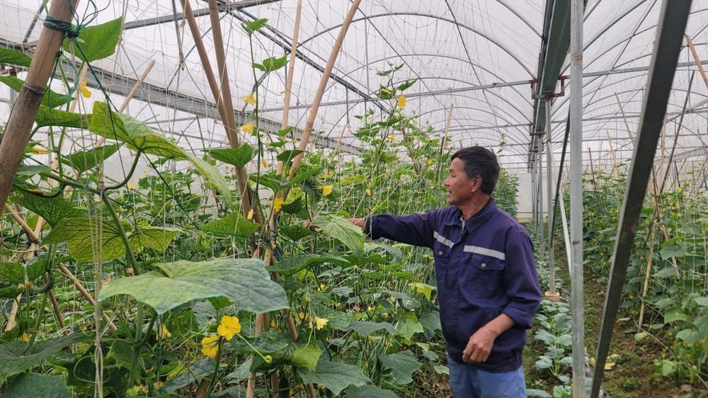 Chuyển đổi số giúp nông nghiệp Hà Nội bứt phá - Ảnh 3. Chuyển đổi số giúp nông nghiệp Hà Nội bứt phá - Ảnh 3.