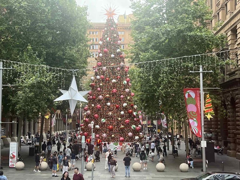 Giáng sinh rực rỡ sắc màu tại "xứ sở Chuột túi" - Ảnh 1.