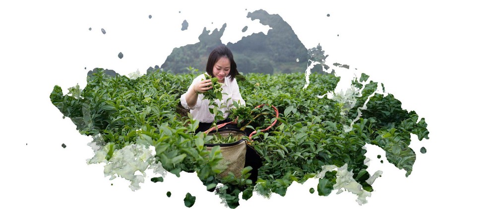 Hồng Trà Như Ý: Hành trình gìn giữ văn hoá trà Việt và lan tỏa lối sống an yên giữa nhịp sống hiện đại - Ảnh 3.