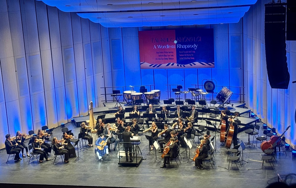 Tấu khúc không lời - Chương trình hòa nhạc kỷ niệm 50 năm quan hệ hữu nghị Việt - Đức - Ảnh 2.