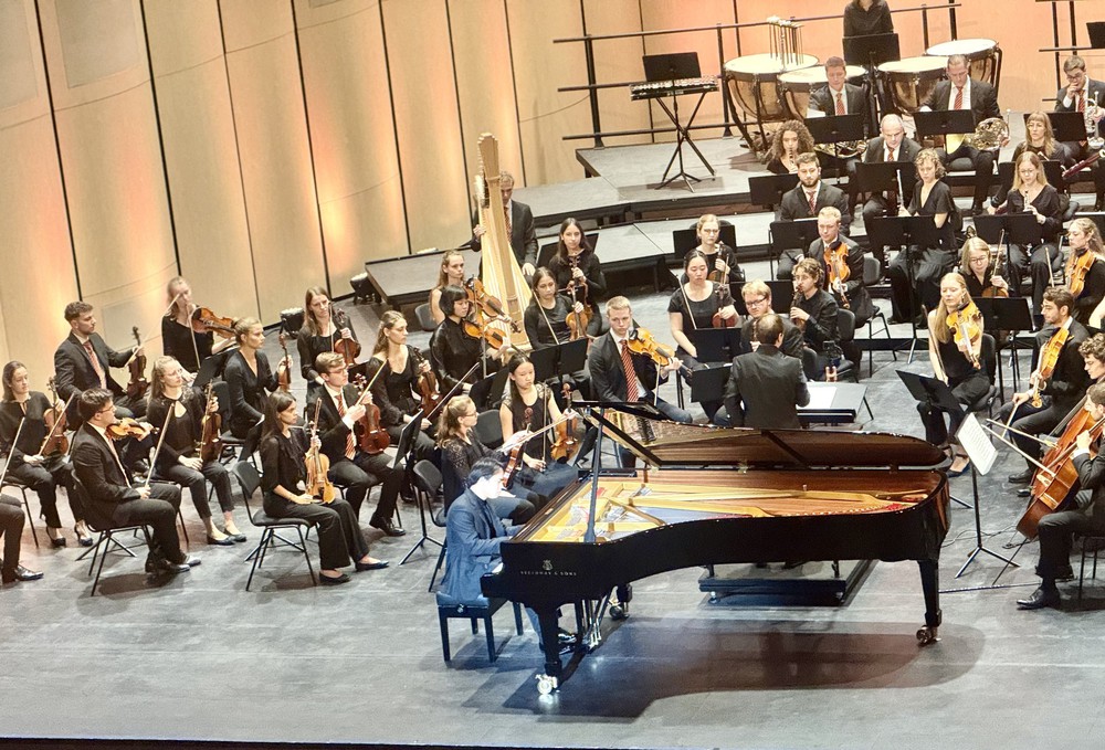 Tấu khúc không lời - Chương trình hòa nhạc kỷ niệm 50 năm quan hệ hữu nghị Việt - Đức - Ảnh 1.