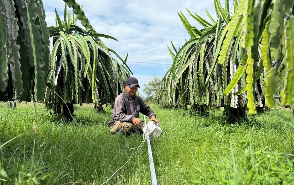 Thủ tướng yêu cầu khắc phục cơ sở hạ tầng, ổn định cuộc sống của nhân dân sau bão lũ tại khu vực Trung Bộ - Ảnh 2.