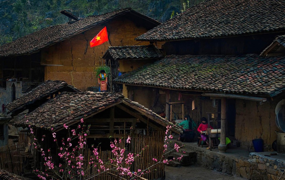 Chuẩn bị đón Lễ hội hoa Mai Anh Đào xã Lũng Cú lần thứ nhất - Ảnh 1.