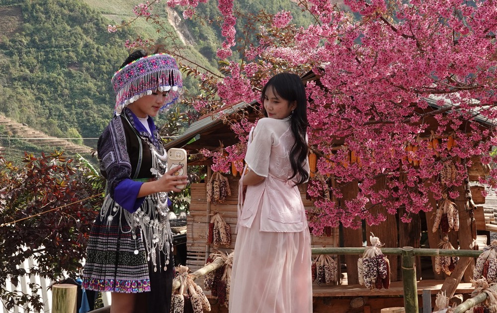 Lung linh sắc hoa Tớ Dày ở vùng cao Mù Cang Chải - Ảnh 10. Lung linh sắc hoa Tớ Dày ở vùng cao Mù Cang Chải - Ảnh 10.