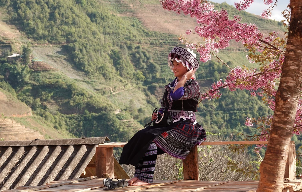 Lung linh sắc hoa Tớ Dày ở vùng cao Mù Cang Chải - Ảnh 11. Lung linh sắc hoa Tớ Dày ở vùng cao Mù Cang Chải - Ảnh 11.