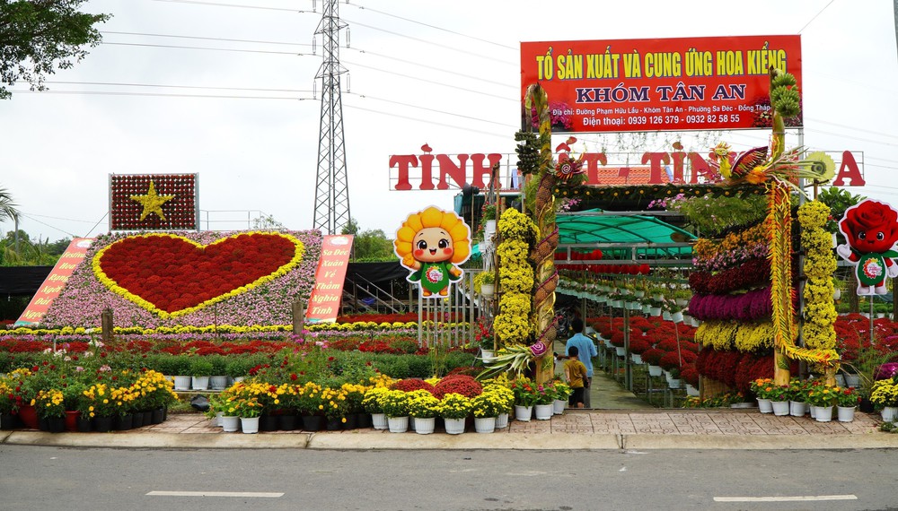 "Trái tim" khổng lồ làm từ 1.600 chậu hoa tươi ở Làng hoa Sa Đéc (Đồng Tháp) - Ảnh 1.