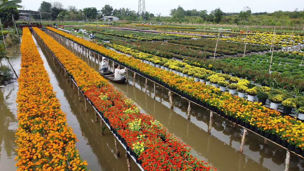 "Trái tim" khổng lồ làm từ 1.600 chậu hoa tươi ở Làng hoa Sa Đéc (Đồng Tháp) - Ảnh 5.