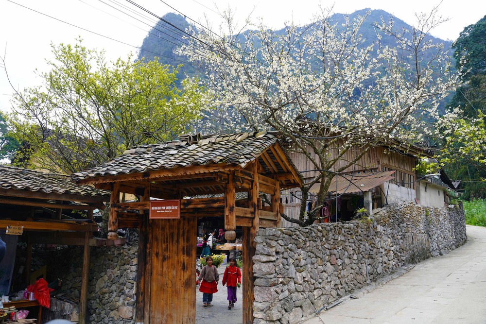 Du lịch Việt Nam 2025: Điểm sáng trong bức tranh tăng trưởng kinh tế, xã hội - Ảnh 5.