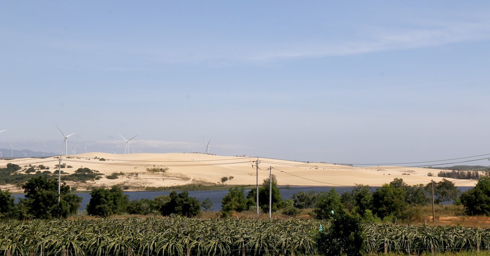 Đến Lâm Đồng chiêm ngưỡng vẻ đẹp độc đáo của "tiểu sa mạc Sahara" - Ảnh 7.