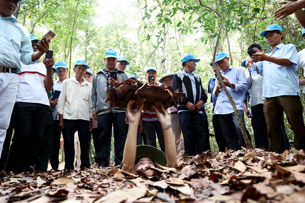 Du lịch Tết Dương lịch 2026: Những tọa độ "vàng" quanh Hà Nội và TP. Hồ Chí Minh không thể bỏ lỡ - Ảnh 11. Du lịch Tết Dương lịch 2026: Những tọa độ "vàng" quanh Hà Nội và TP. Hồ Chí Minh không thể bỏ lỡ - Ảnh 11.