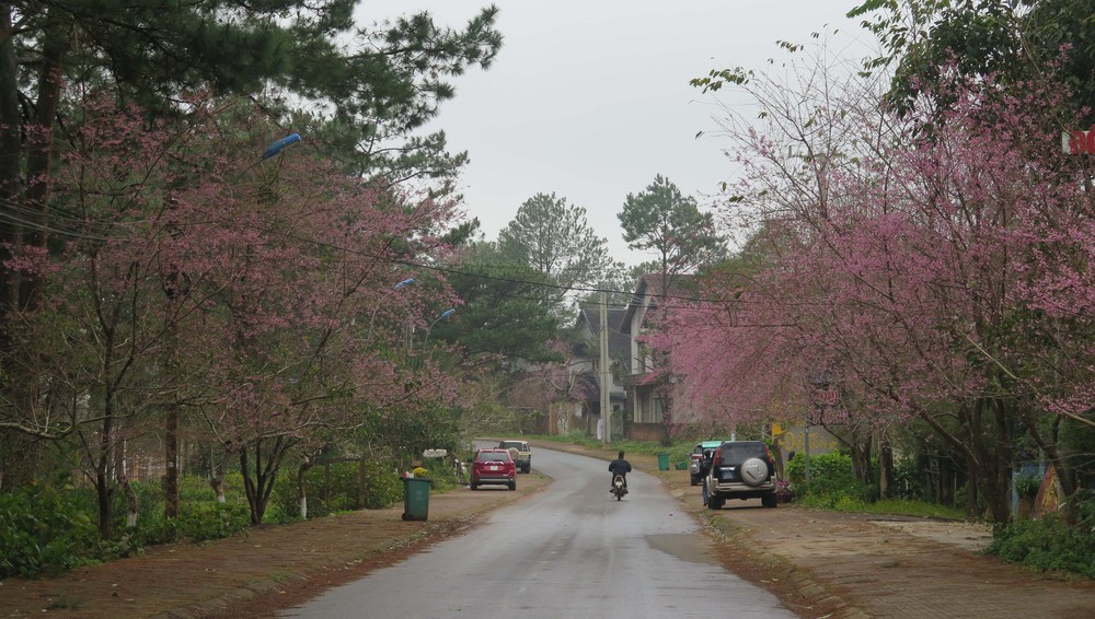 Du lịch Tết Dương lịch 2026: Những tọa độ "vàng" quanh Hà Nội và TP. Hồ Chí Minh không thể bỏ lỡ - Ảnh 10. Du lịch Tết Dương lịch 2026: Những tọa độ "vàng" quanh Hà Nội và TP. Hồ Chí Minh không thể bỏ lỡ - Ảnh 10.