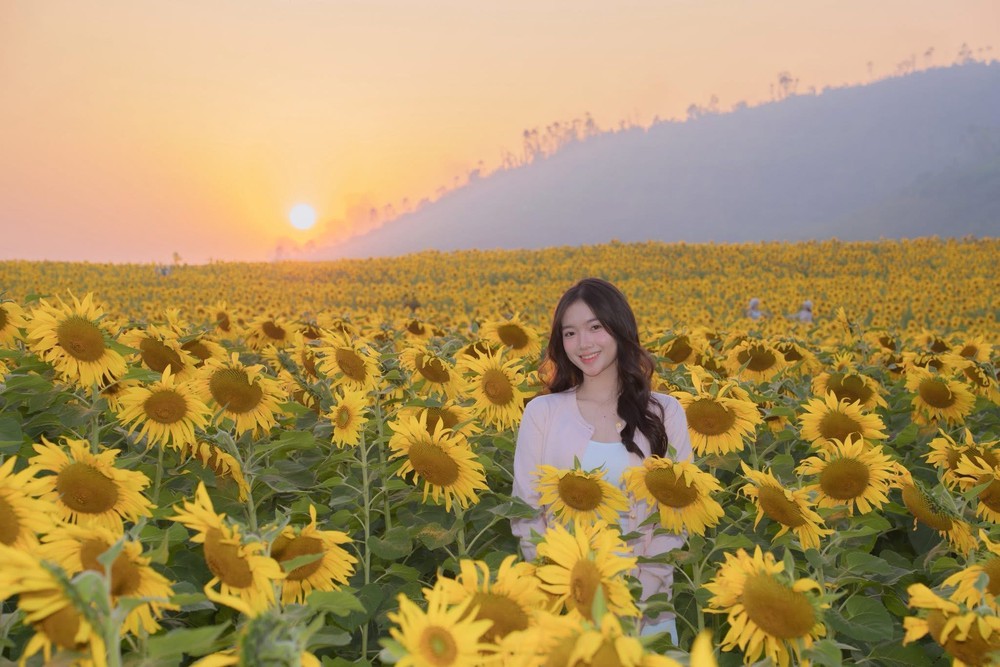 Nghệ An - điểm đến hút khách dịp Tết Dương lịch 2026 - Ảnh 8. Nghệ An - điểm đến hút khách dịp Tết Dương lịch 2026 - Ảnh 8.