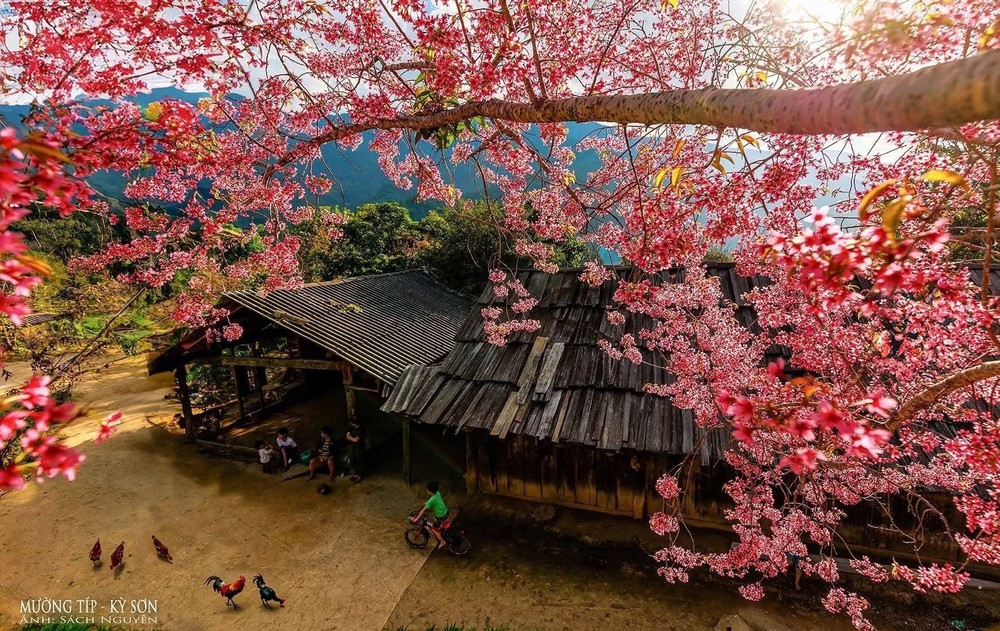 Nghệ An - điểm đến hút khách dịp Tết Dương lịch 2026 - Ảnh 3. Nghệ An - điểm đến hút khách dịp Tết Dương lịch 2026 - Ảnh 3.