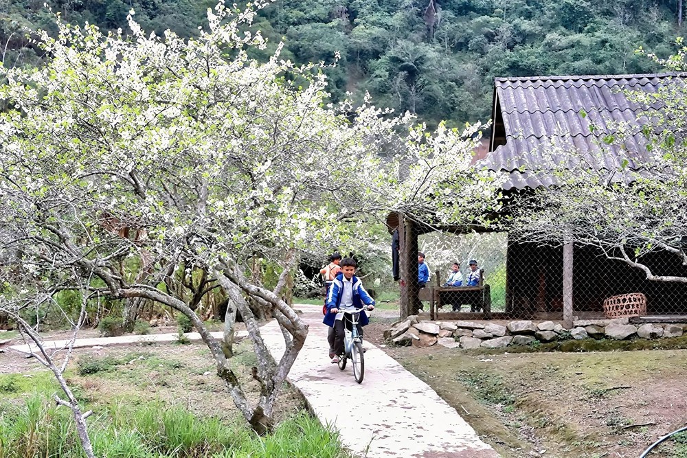 Nghệ An - điểm đến hút khách dịp Tết Dương lịch 2026 - Ảnh 1. Nghệ An - điểm đến hút khách dịp Tết Dương lịch 2026 - Ảnh 1.