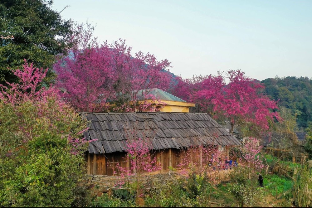 Nghệ An - điểm đến hút khách dịp Tết Dương lịch 2026 - Ảnh 4. Nghệ An - điểm đến hút khách dịp Tết Dương lịch 2026 - Ảnh 4.