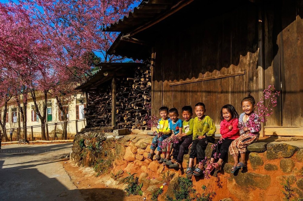 Nghệ An - điểm đến hút khách dịp Tết Dương lịch 2026 - Ảnh 2. Nghệ An - điểm đến hút khách dịp Tết Dương lịch 2026 - Ảnh 2.