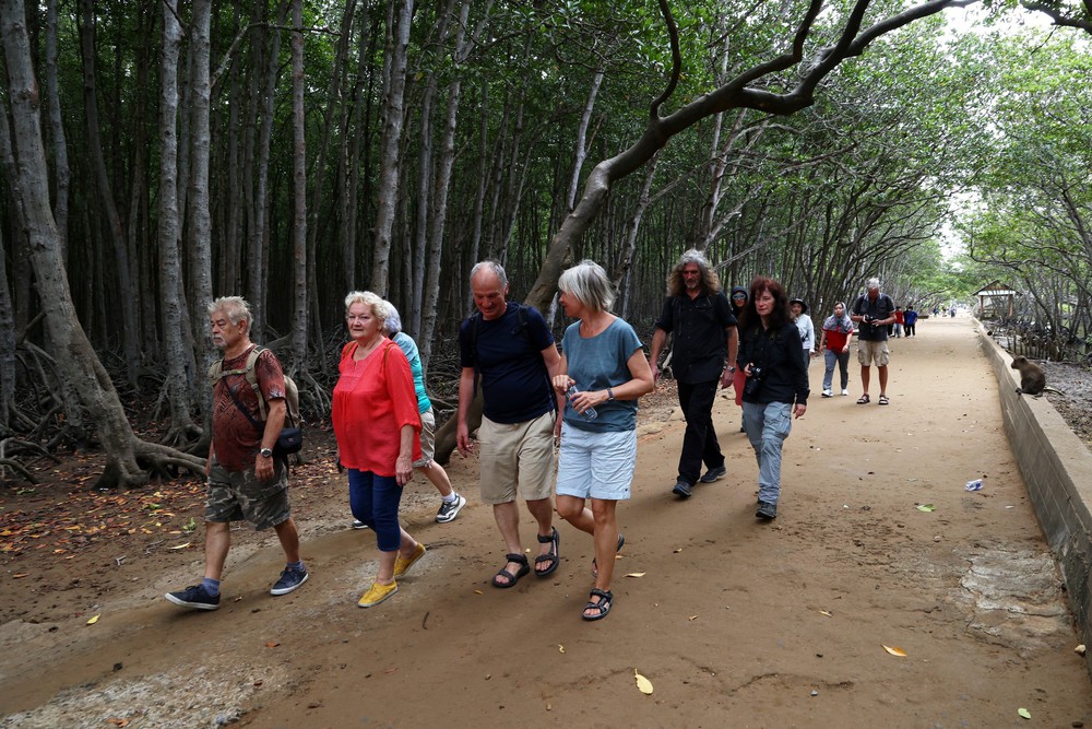 Du lịch Tết Dương lịch 2026: Những tọa độ "vàng" quanh Hà Nội và TP. Hồ Chí Minh không thể bỏ lỡ - Ảnh 1. Du lịch Tết Dương lịch 2026: Những tọa độ "vàng" quanh Hà Nội và TP. Hồ Chí Minh không thể bỏ lỡ - Ảnh 1.