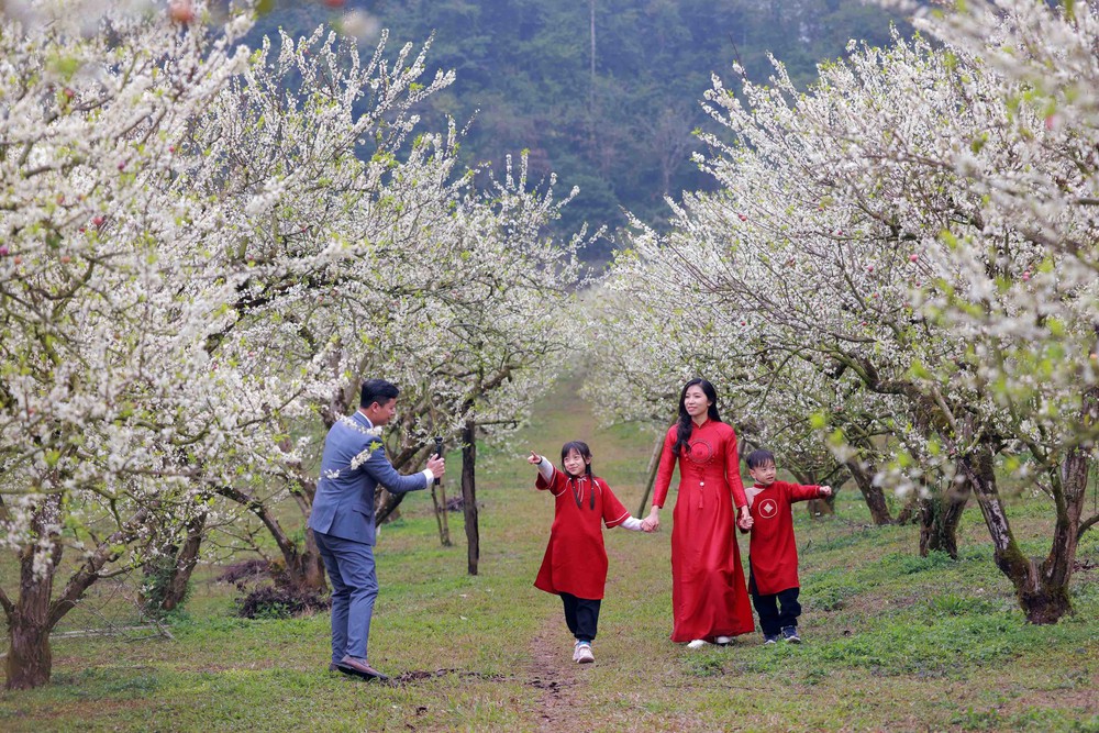 Du lịch dịp cuối năm sôi động, tạo đà bứt phá cho năm 2026 - Ảnh 2.