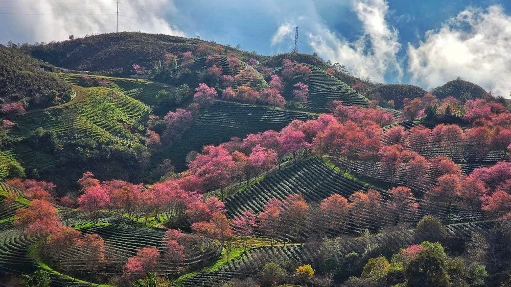 Khai mạc Không gian văn hóa "Sa Pa - Tinh hoa hội tụ" - Ảnh 2.