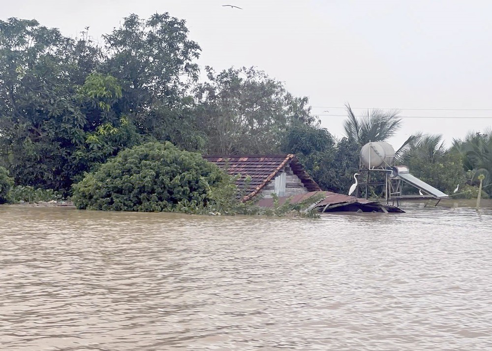 Lâm Đồng mưa nặng hạt kéo dài, nhiều khu vực bị ngập trở lại - Ảnh 1. Lâm Đồng mưa nặng hạt kéo dài, nhiều khu vực bị ngập trở lại - Ảnh 1.