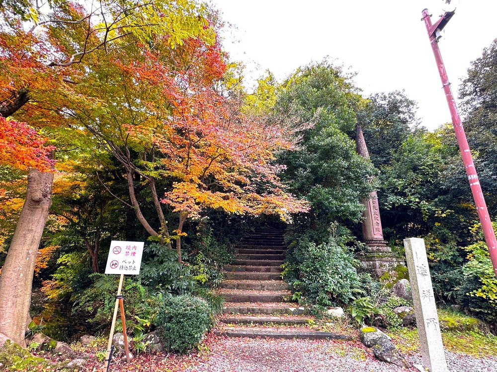 Đền Oyama-jinja - Biểu tượng giao thoa kiến trúc Đông - Tây giữa lòng Kanazawa - Ảnh 4.