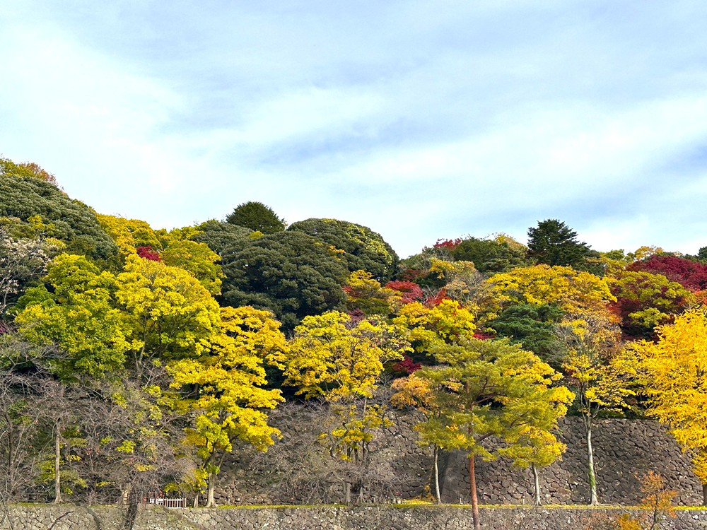 Đền Oyama-jinja - Biểu tượng giao thoa kiến trúc Đông - Tây giữa lòng Kanazawa - Ảnh 6.