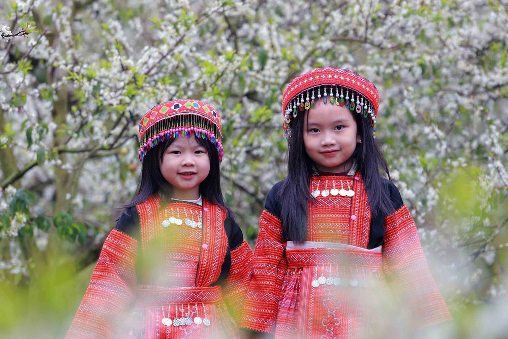 Việt Nam tiếp tục được tôn vinh là "Điểm đến Di sản hàng đầu thế giới" - Ảnh 1. Việt Nam tiếp tục được tôn vinh là "Điểm đến Di sản hàng đầu thế giới" - Ảnh 1.