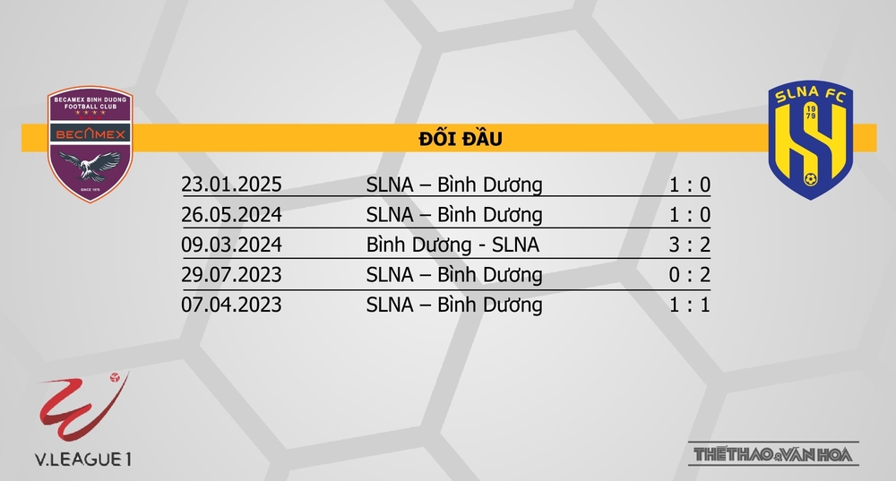 Nhận định bóng đá V-League hôm nay 21/2 & 22/2: HAGL vs Hà Nội, Hải Phòng vs Hà Tĩnh - Ảnh 7.