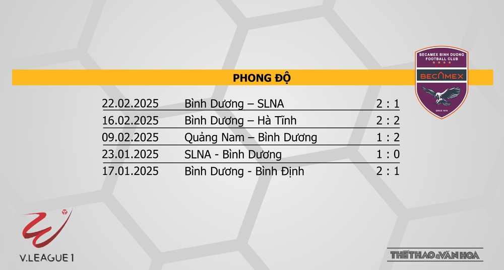 Soi Kèo bóng đá V-League hôm nay 1/2 & 2/3: SLNA vs Công an Hà Nội, TPHCM vs HAGL, Hà Nội vs Đà Nẵng - Ảnh 9.