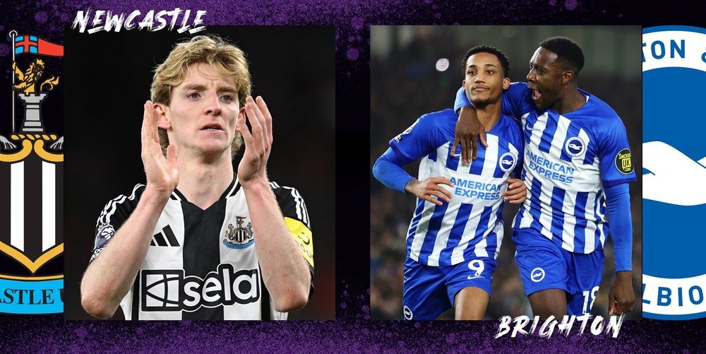 Nhận định, soi tỷ lệ Newcastle vs Brighton 20h45 ngày 2/3, FA Cup vòng 5 - Ảnh 1.