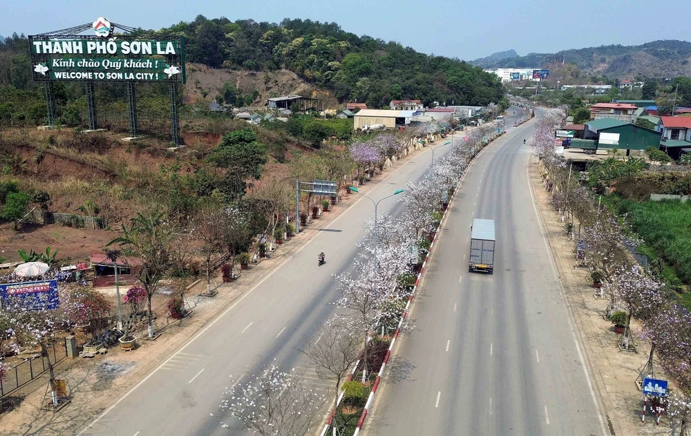 Sơn La - mùa hoa ban nở - Ảnh 3.