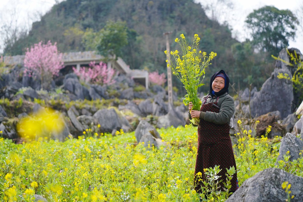 Sắc Xuân trên &quot;miền đá nở hoa&quot; - Ảnh 3.