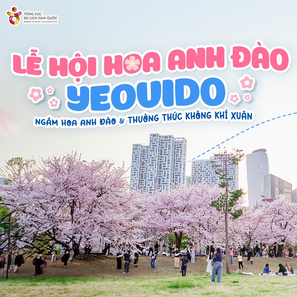 Anh đào rực rỡ sắc hồng bên bờ sông Hàn, Seoul - Ảnh 1.