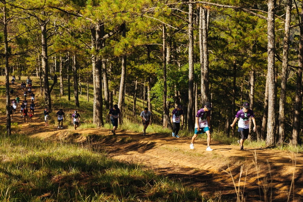 Dalat Ultra Trail 2025: Chinh phục giới hạn cùng &quot;The New Game – Cuộc Chơi Mới&quot; - Ảnh 1.